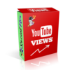 Views YouTube Globales